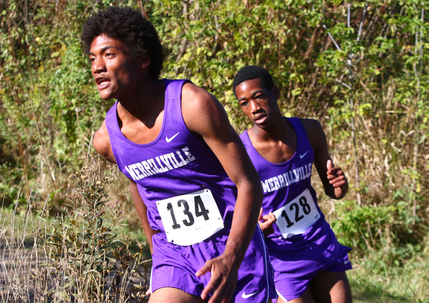 Gallery: Duneland Athletic Conference cross country meet